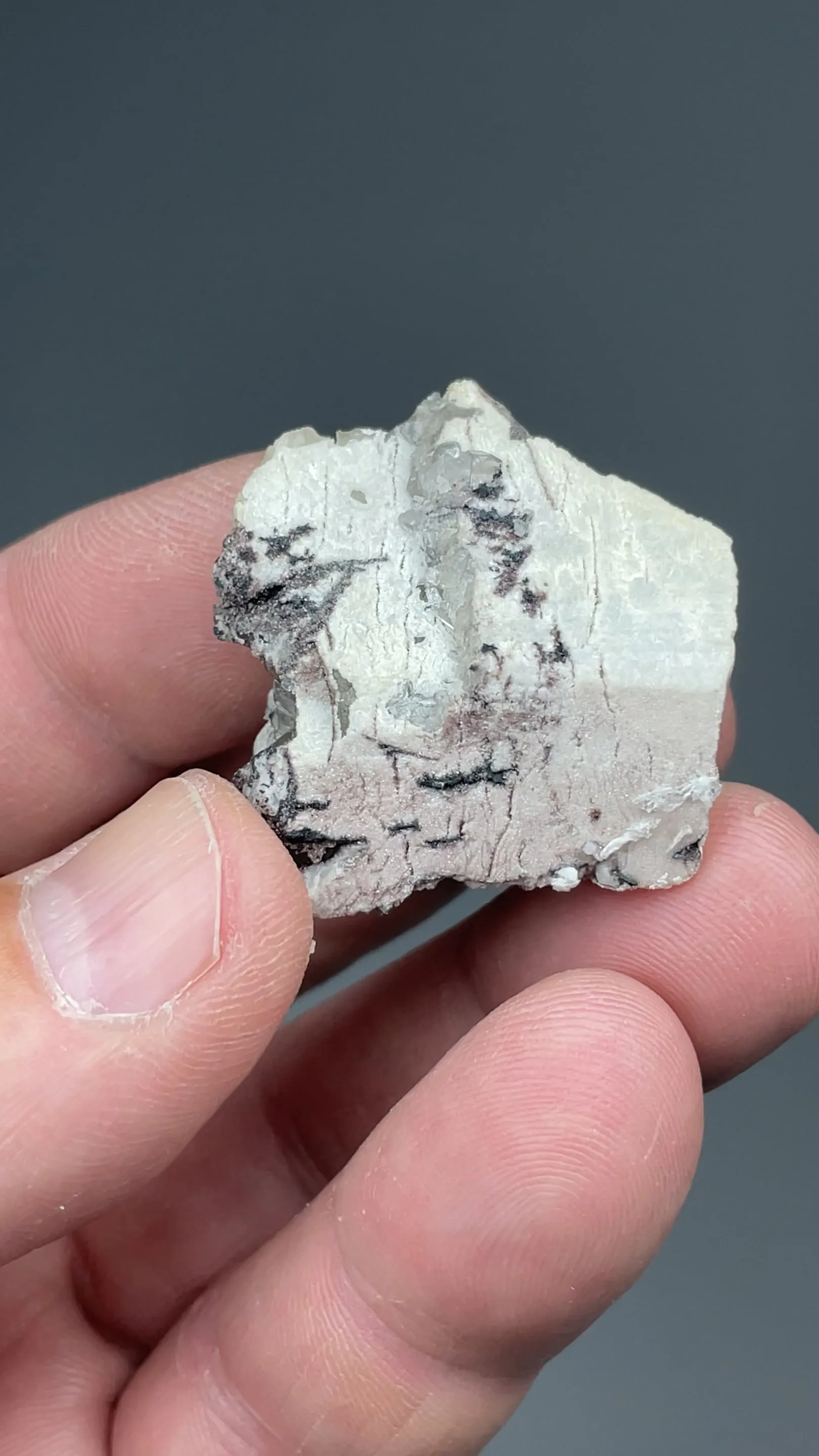 Anglesite with Cerussite, Hydrocerussite - image 2