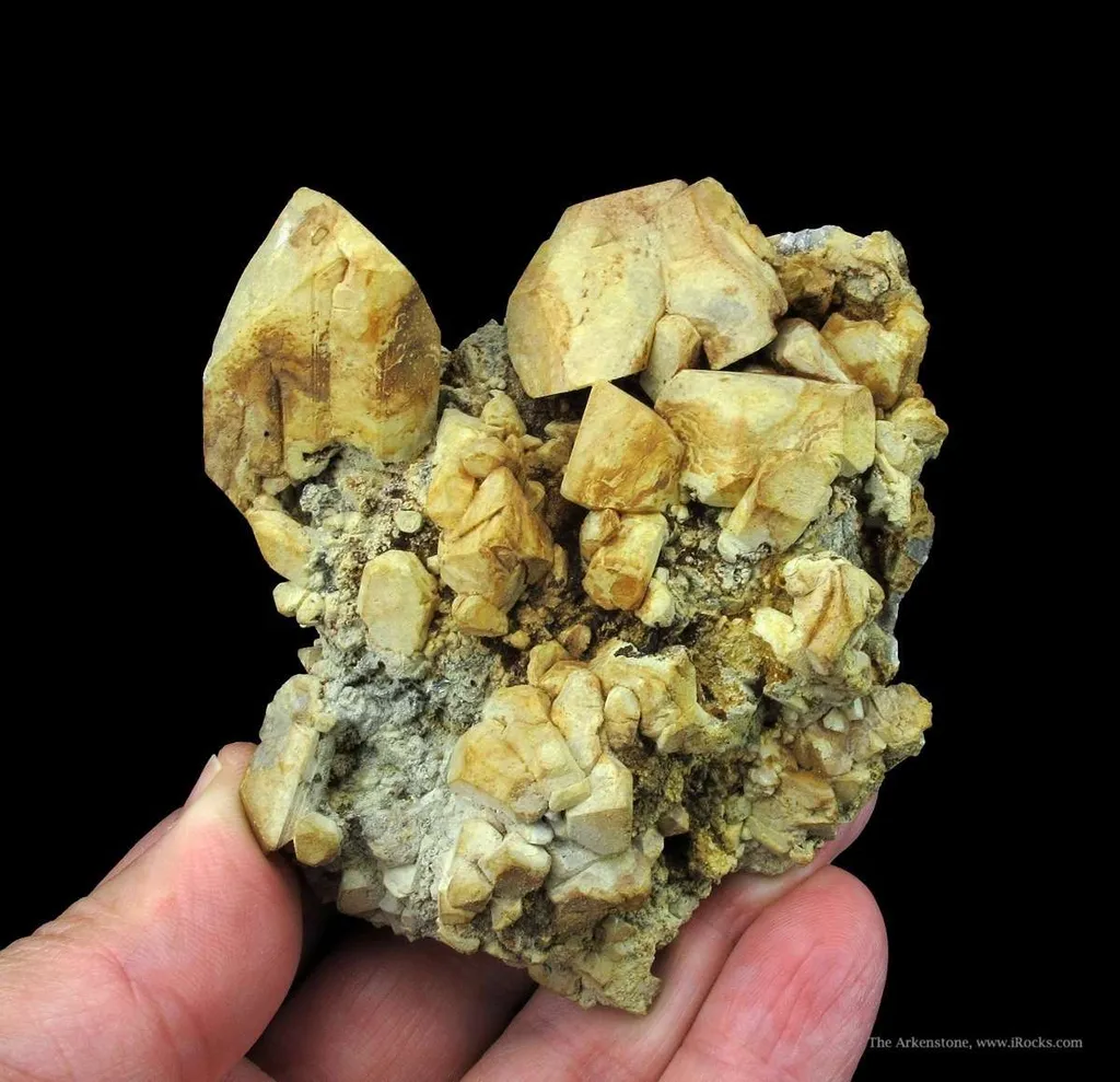 Anglesite With Cerussite, on Galena image