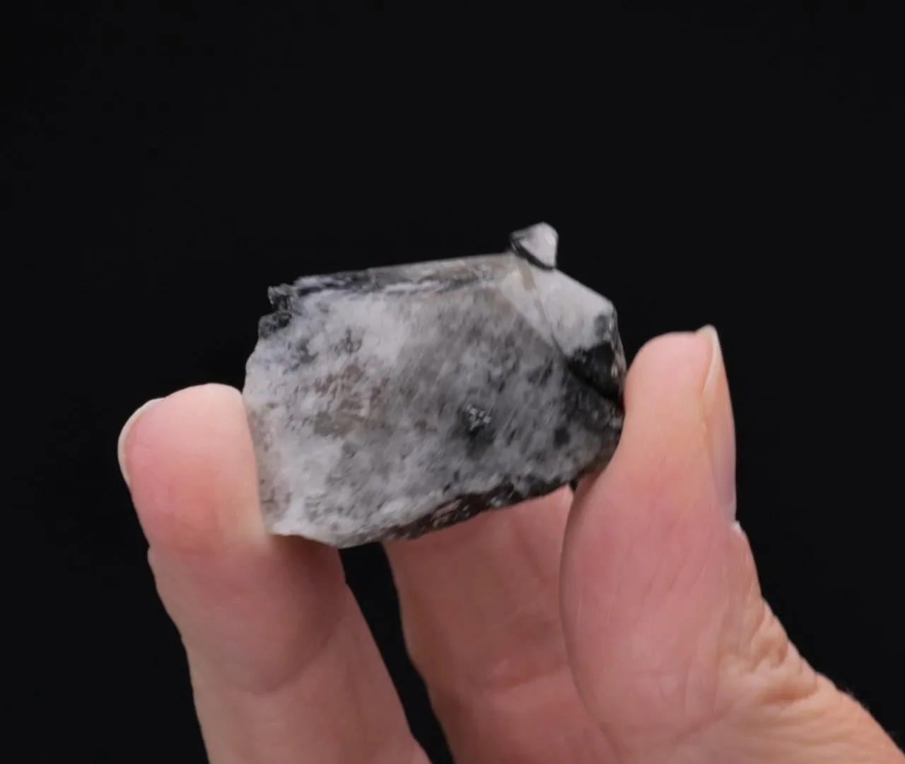 Anglesite with Galena - image 2