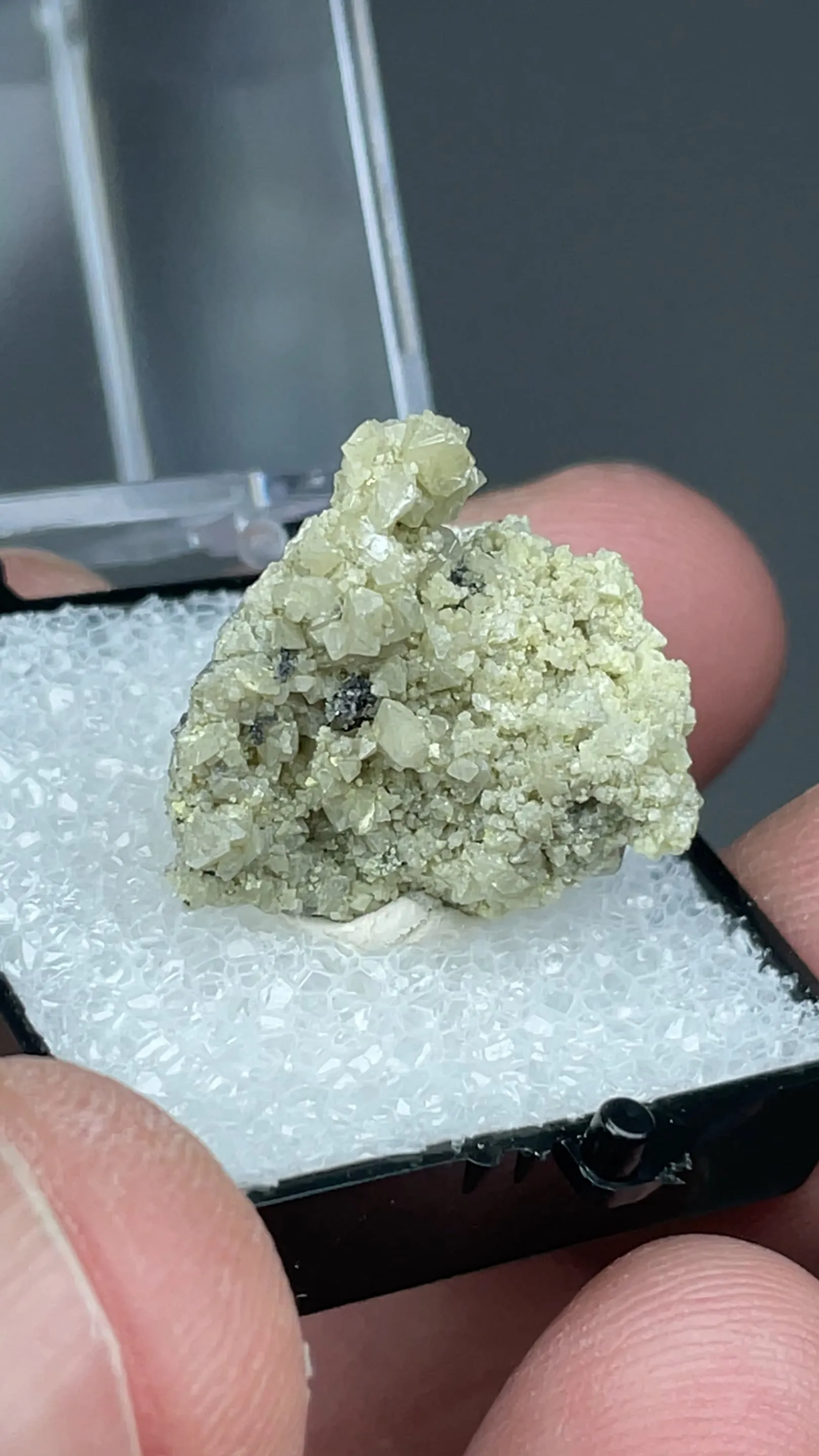 Anglesite with Quartz - image 2