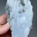 Anhydrite with Calcite, Pyrite - image 2