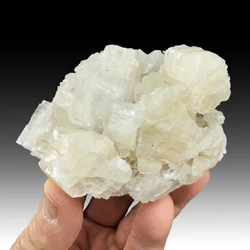 Anhydrite with Carnallite, Kieserite