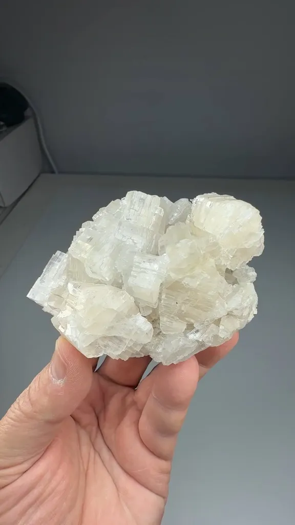 Anhydrite with Carnallite, Kieserite - image 2