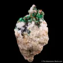 Annabergite on Dolomite - image 5