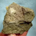Anorthite, Aragonite - image 1