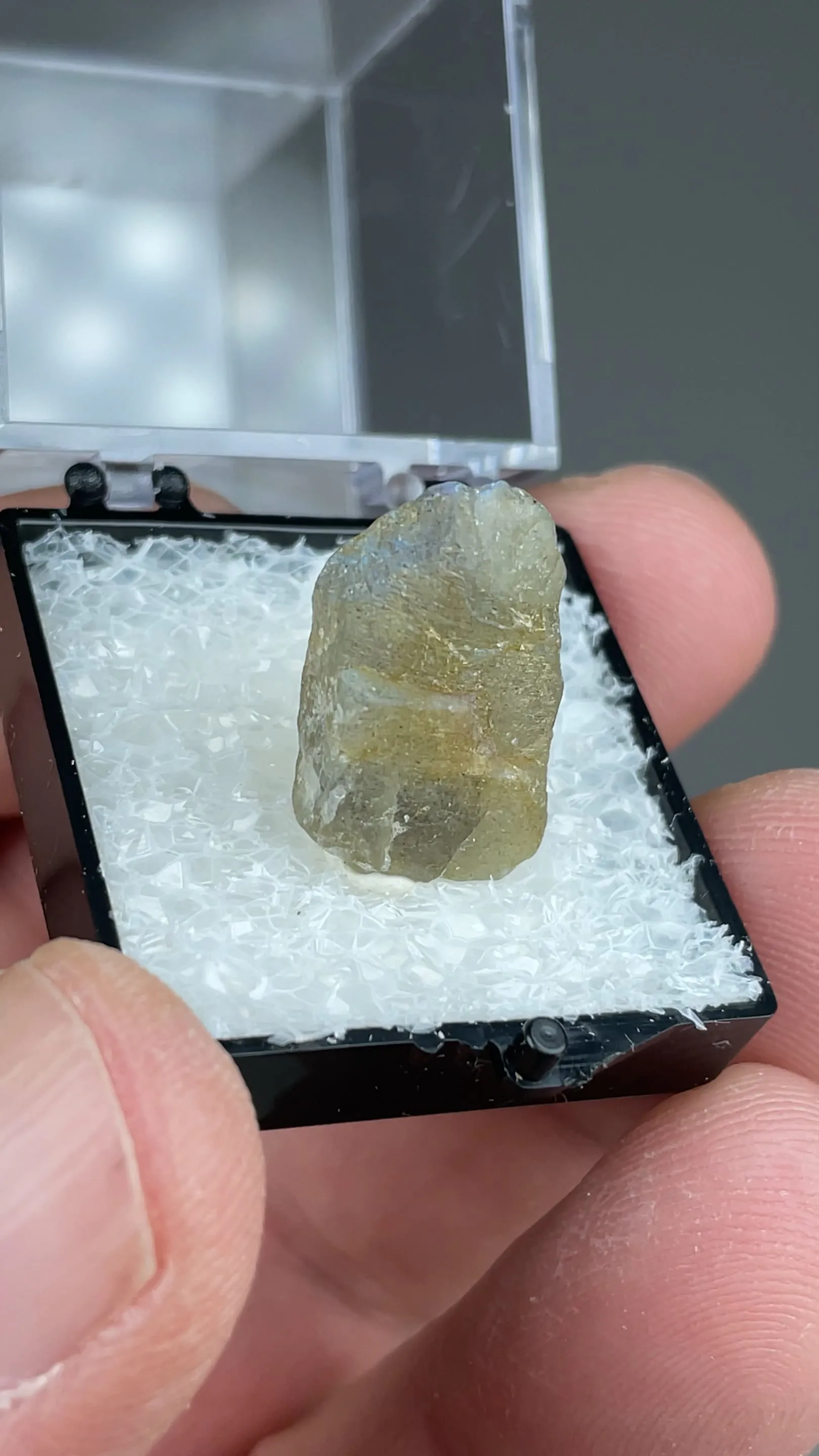 Anorthite var. Labradorite - image 2