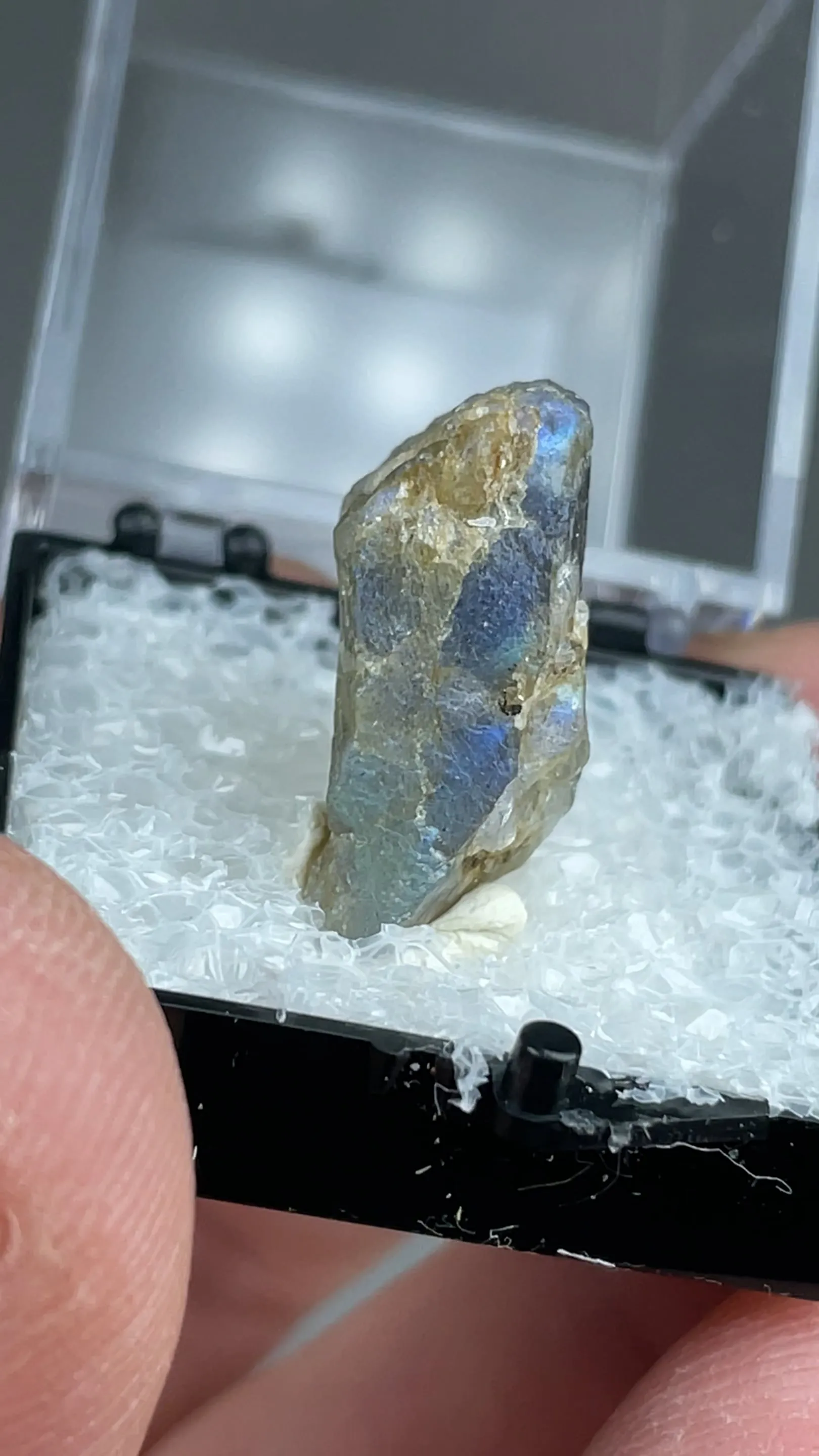 Anorthite var. Labradorite - image 2