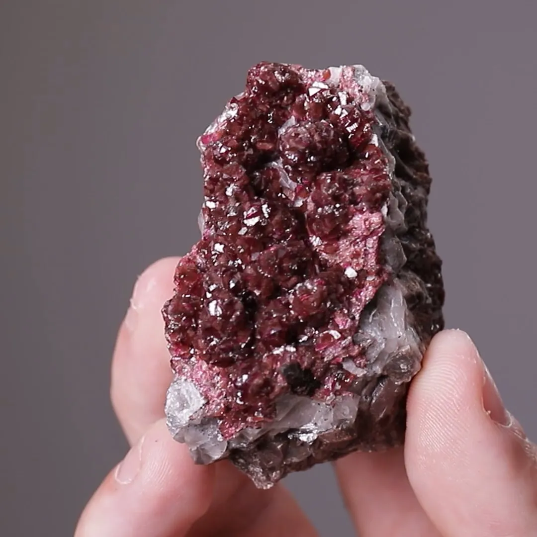 ANORTHOROSELITE - image 2