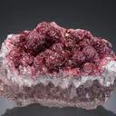 ANORTHOROSELITE - image 1