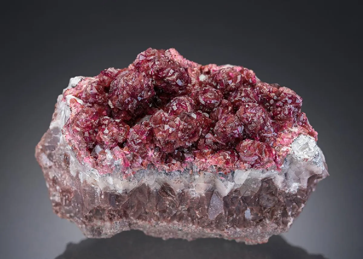 ANORTHOROSELITE - image 1