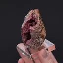 ANORTHOROSELITE - image 2