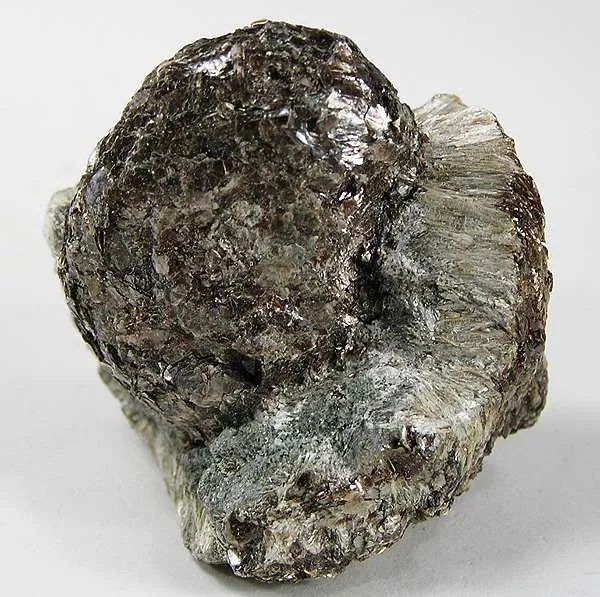 Anthophyllite, Phlogopite image