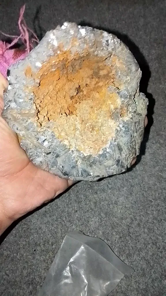 specimen video