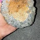 specimen video
