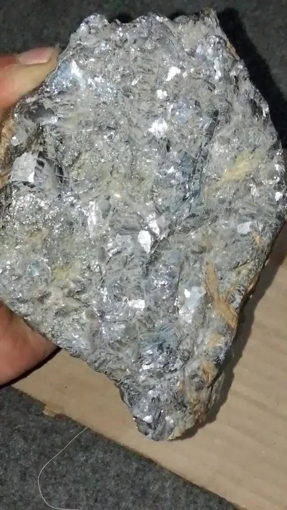 specimen video