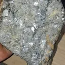 specimen video