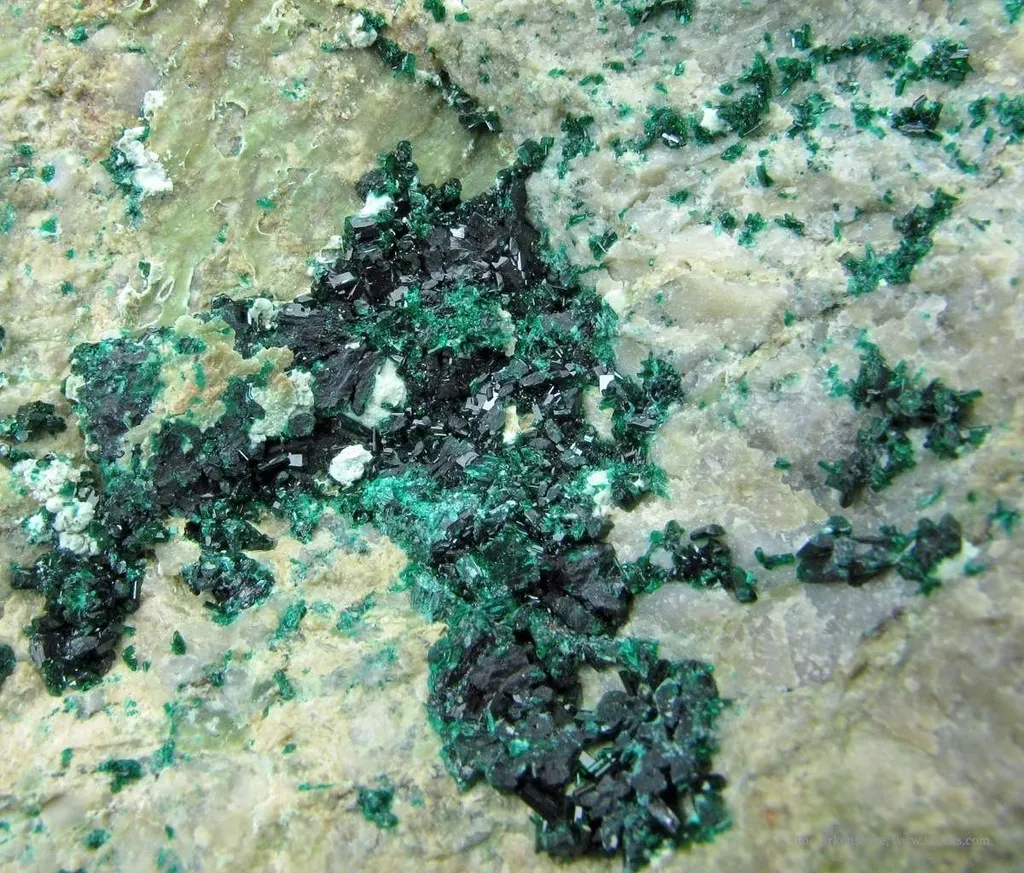 Antlerite - image 5