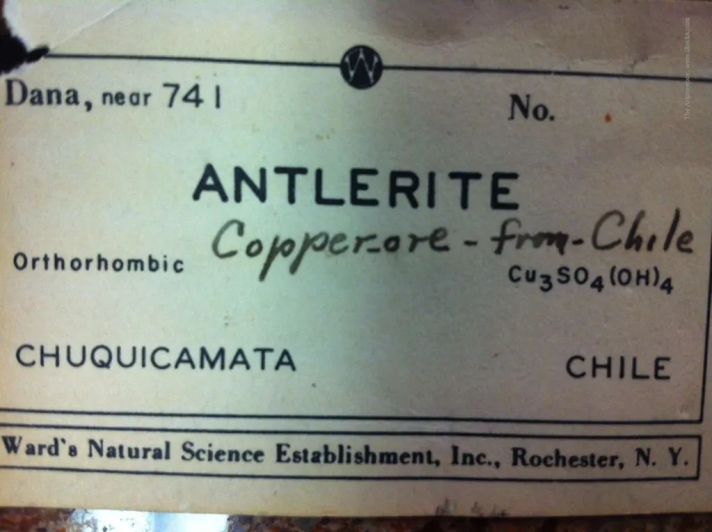 Antlerite - image 6