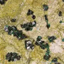 Antlerite - image 4