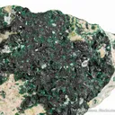 Antlerite - image 2