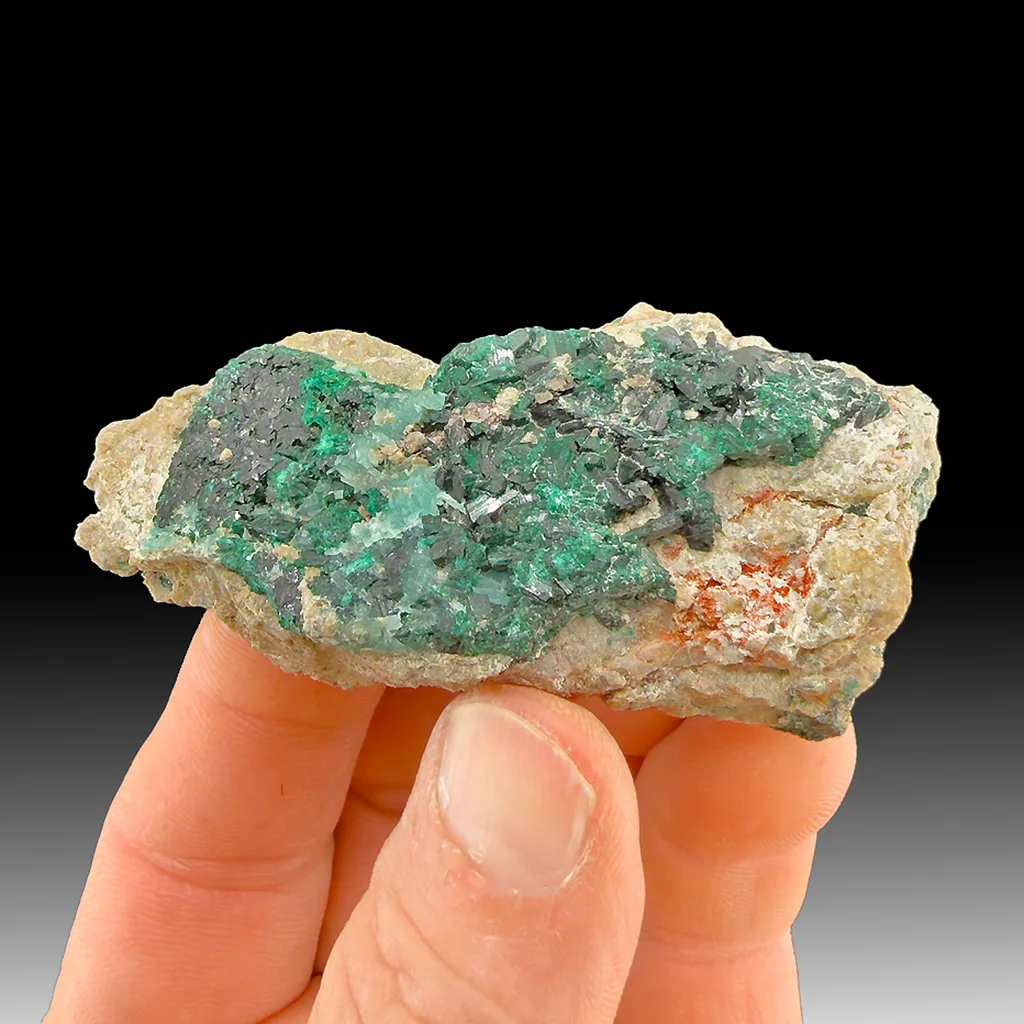 Antlerite image