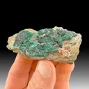 Antlerite from Chuquicamata Mine, Antofagasta, Chile - image 1