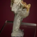 Apatite - image 4
