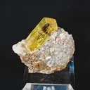 specimen video