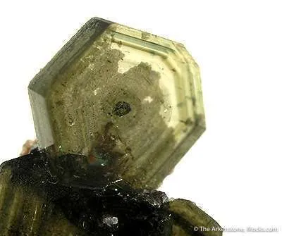 Apatite - image 2