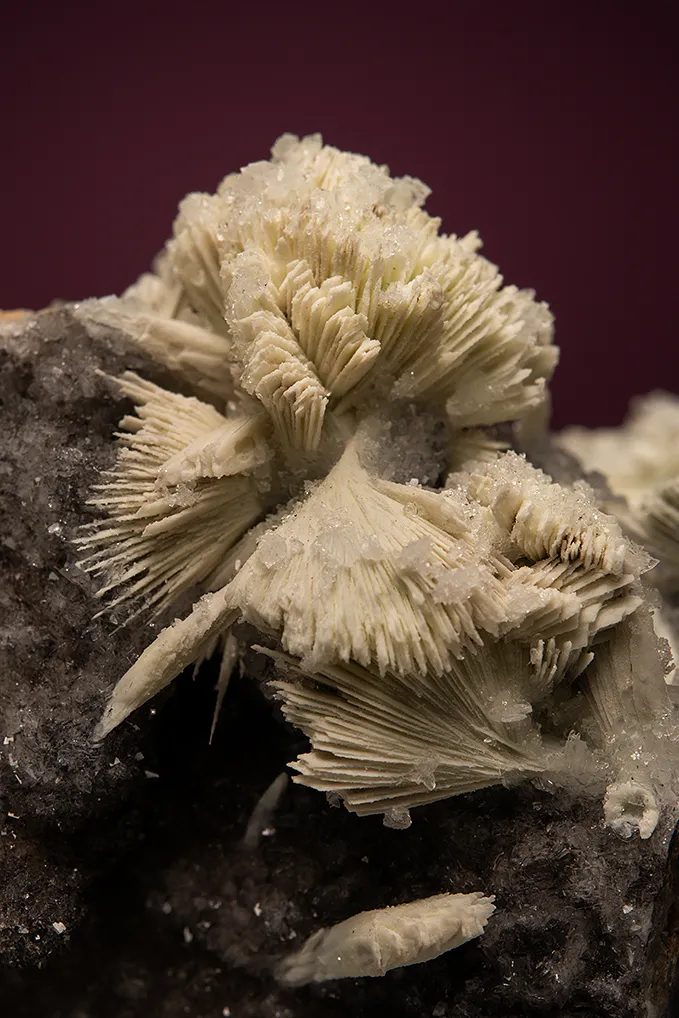 Apatite after SKORPIONITE - image 2