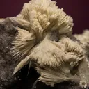 Apatite after SKORPIONITE - image 2