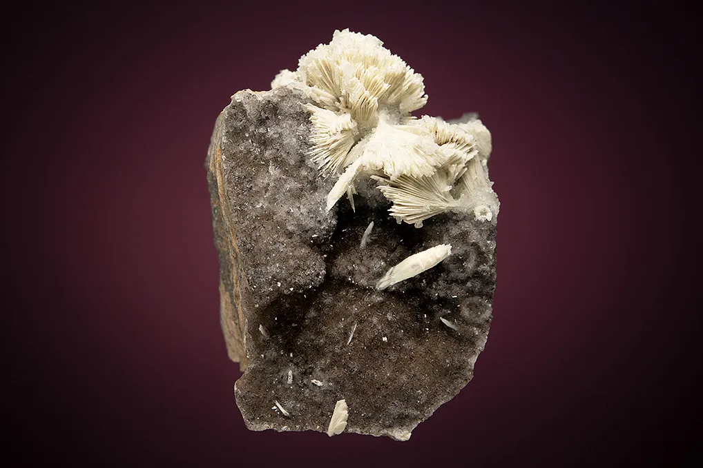 Apatite after SKORPIONITE - image 3