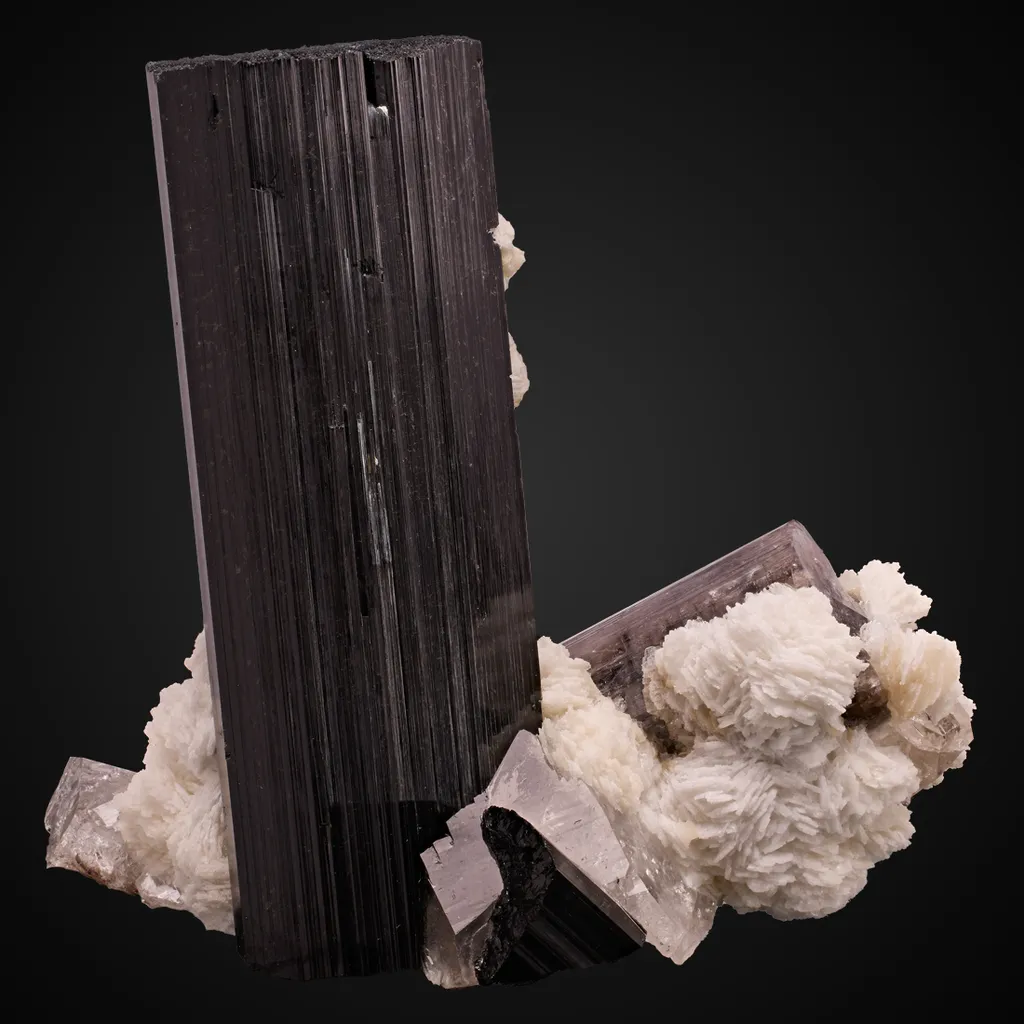 Apatite, Albite, Schorl image