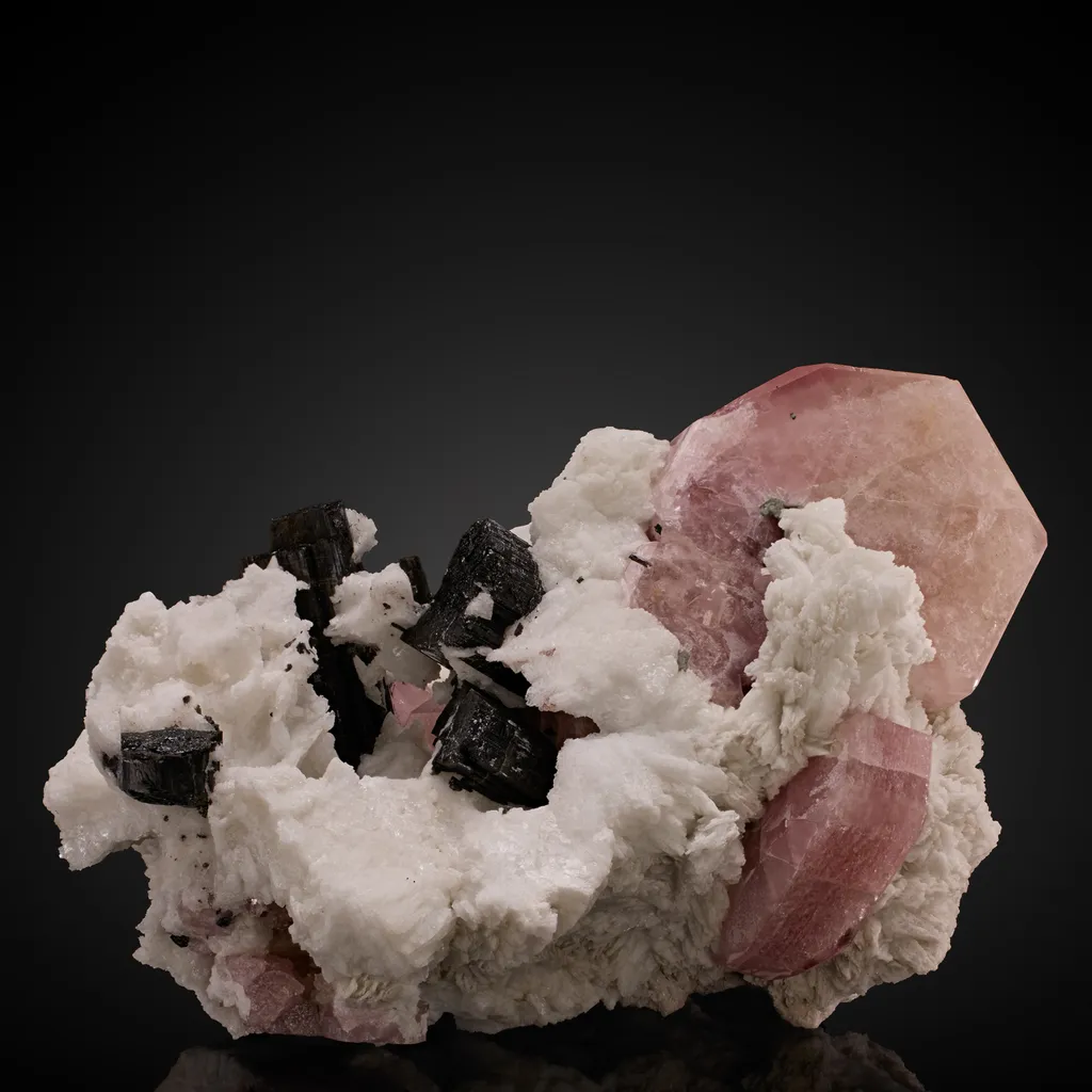 Apatite Albite, Schorl image