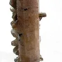 Apatite - image 1