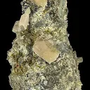 Apatite-(Caf) - image 1