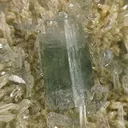 Apatite-(Caf) - image 2