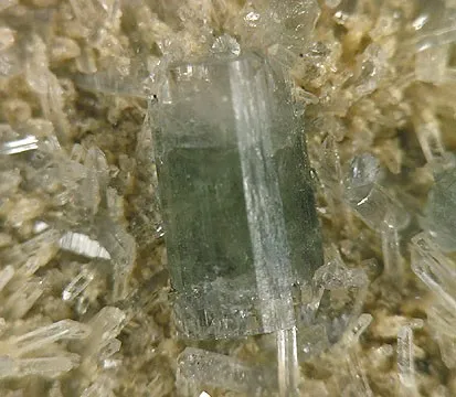 Apatite-(Caf) - image 2
