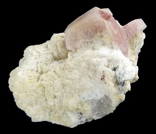 Apatite-(Caf), Albite image