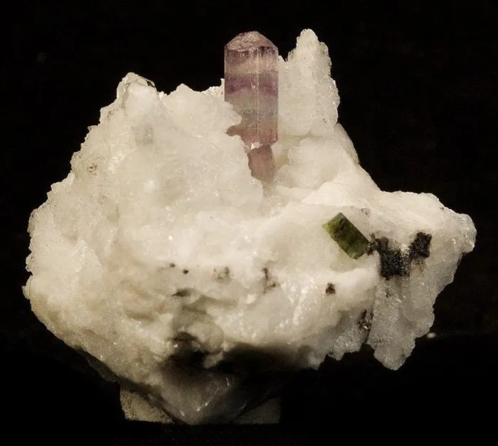 Apatite-(Caf), Albite - image 1