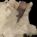 Apatite-(Caf), Albite - image 2