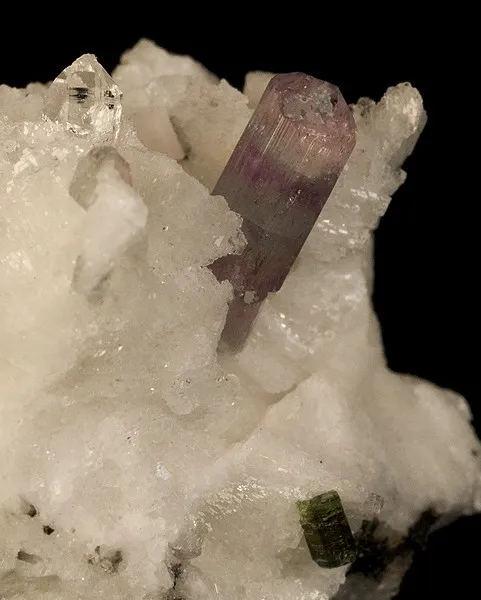 Apatite-(Caf), Albite - image 2