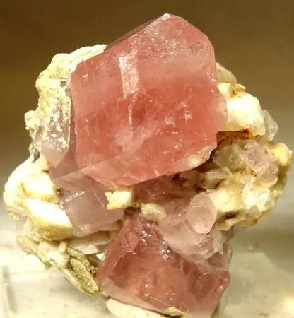 Apatite-(Caf), Albite image