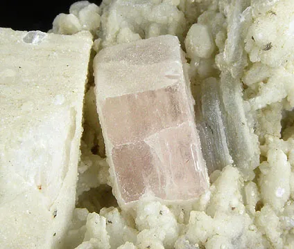 Apatite-(Caf), Albite, Muscovite, Microcline - image 2