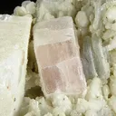 Apatite-(Caf), Albite, Muscovite, Microcline - image 2