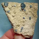 Apatite-(Caf) - image 1