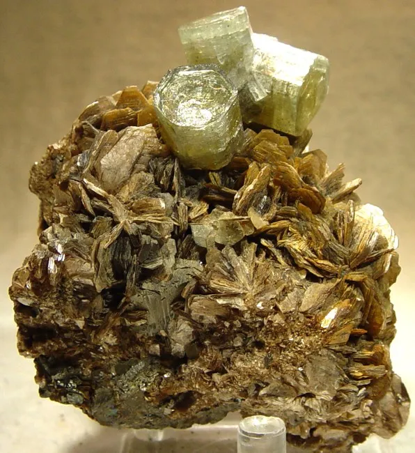 Apatite-(Caf), Muscovite image