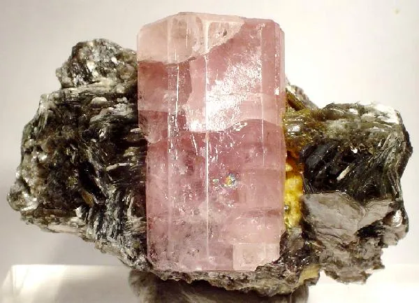 Apatite-(Caf), Muscovite image