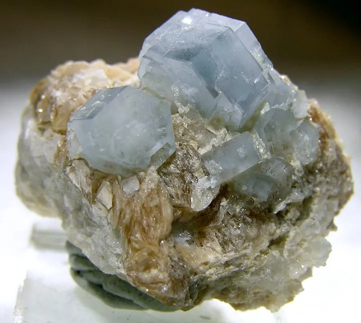 Apatite-(Caf), Muscovite image