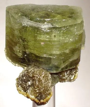 Apatite-(Caf), Muscovite image